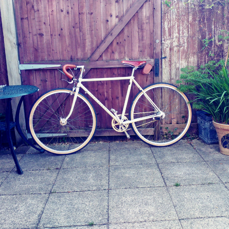 gumtree pashley